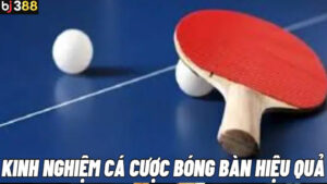 Bóng bàn BJ388 có gì đặc biệt