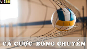 Giới thiệu cá cược bóng chuyền tại BJ388
