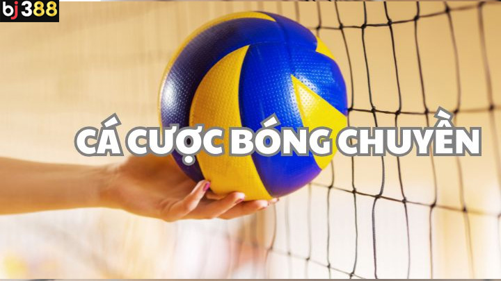 Hướng dẫn cá cược bóng chuyền tại BJ388