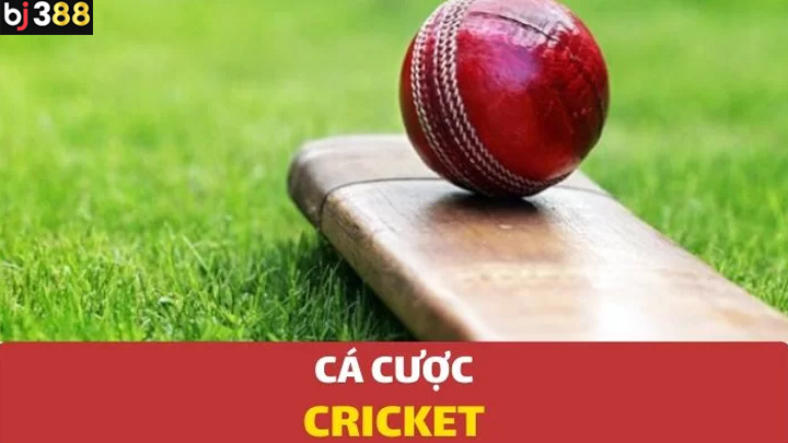 Cricket BJ388 mẹo và chiến lược cá cược hiệu quả