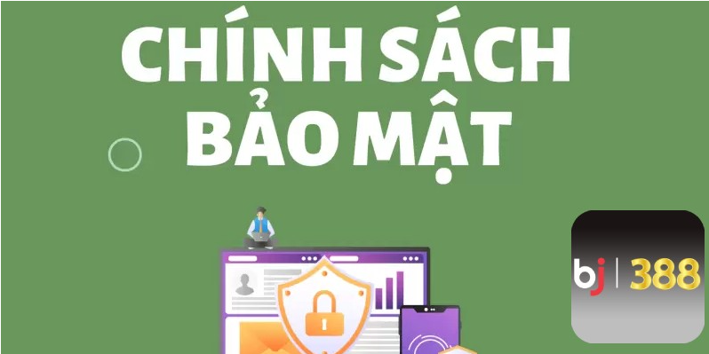 Cập nhật chính sách và phản hồi từ người dùng