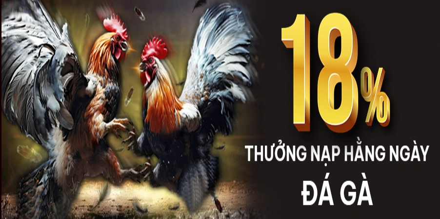 Tổng quan về chương trình khuyến mãi BJ388