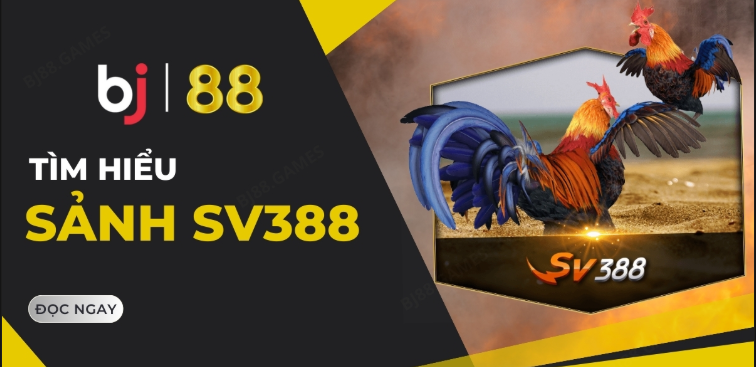 Giới thiệu về nhà cái uy tín BJ388
