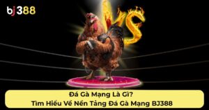 Đá Gà Mạng Là Gì? Tìm Hiểu Về Nền Tảng Đá Gà Mạng BJ388