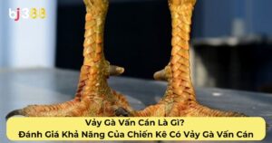 Vảy Gà Vấn Cán Là Gì? Đánh Giá Khả Năng Của Chiến Kê Có Vảy Gà Vấn Cán