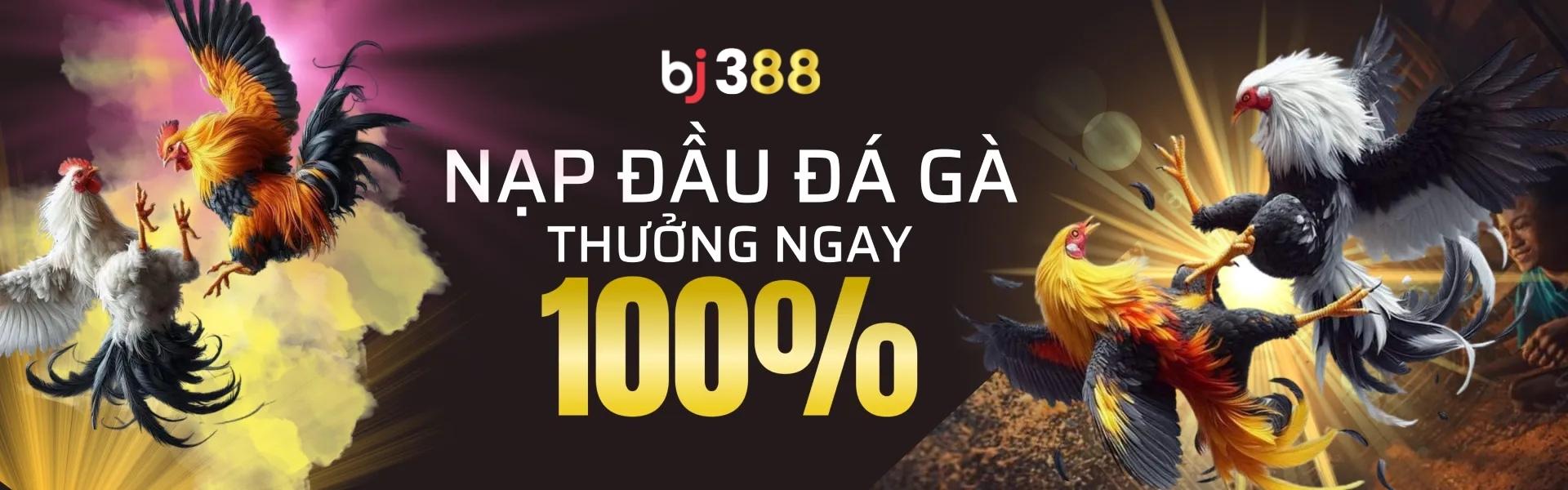 bj388-thuong-100-phan-tram-nap-dau-da-ga